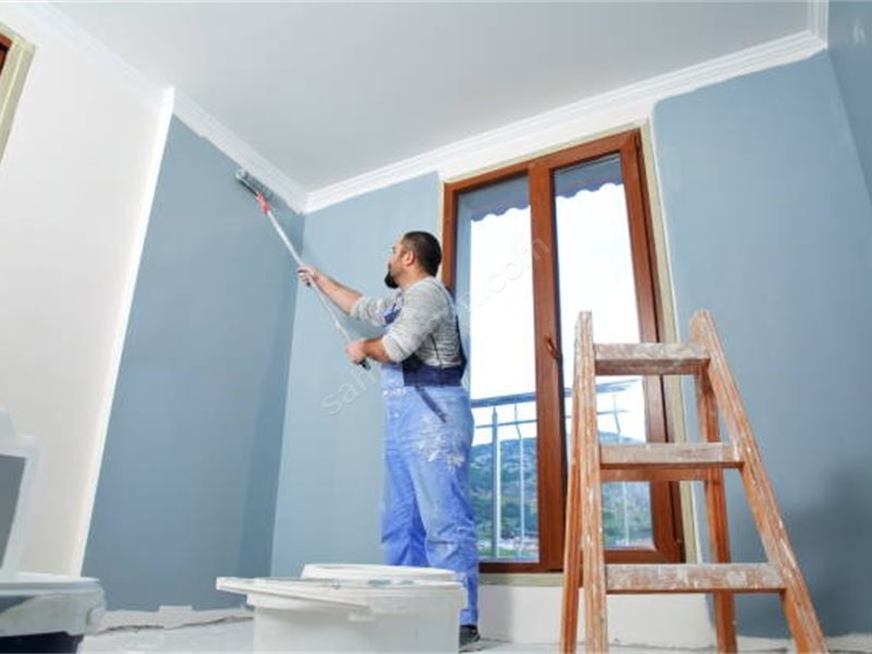 Mahmudiye Boya Badanacı